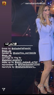 Reem El Baroudy feet photo 13