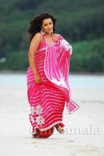 Reema Sen feet photo 11