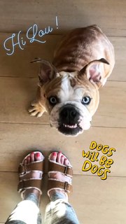 Reese Witherspoon feet photo thumbnail