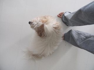 Regina Dukai feet photo 11