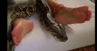 Regina Todorenko feet photo thumbnail