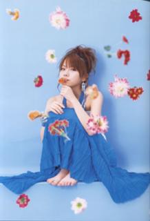 Reina Tanaka feet photo 4