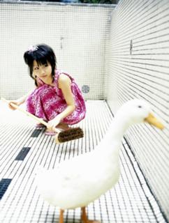 Reina Tanaka feet photo 16