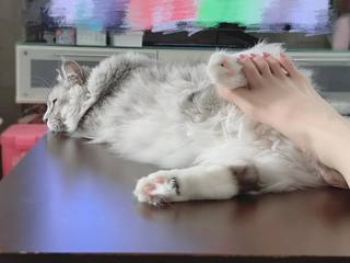 Reina Tanaka feet photo 4