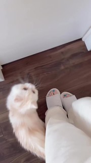 Reina Tanaka feet photo 19