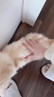 Reina Tanaka feet photo 17