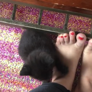 Rekha Shankar feet photo 8