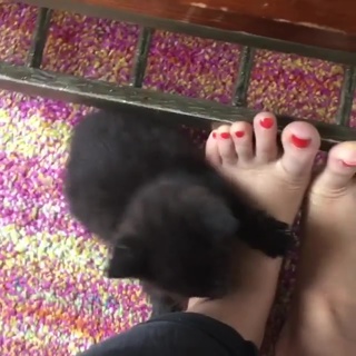 Rekha Shankar feet photo 7
