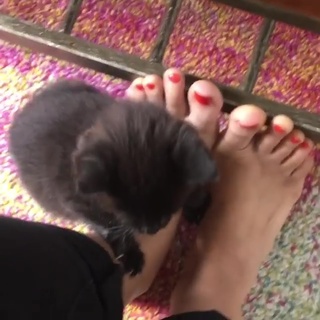 Rekha Shankar feet photo 6