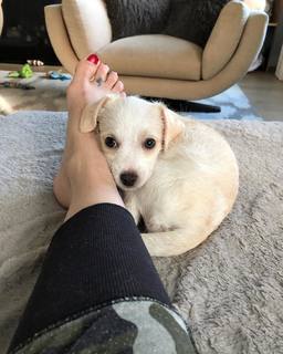 Rena Sofer feet photo thumbnail