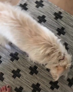 Rena Sofer feet photo thumbnail