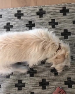 Rena Sofer feet photo thumbnail