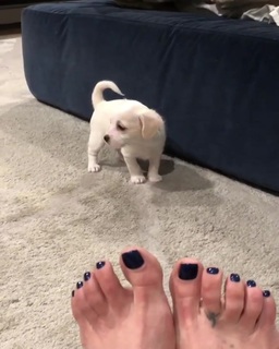 Rena Sofer feet photo thumbnail