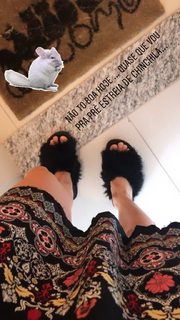 Renata Bardazzi feet photo 19
