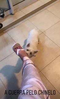 Renata Dominguez feet photo 9