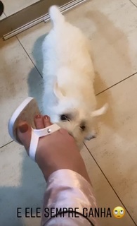 Renata Dominguez feet photo 8