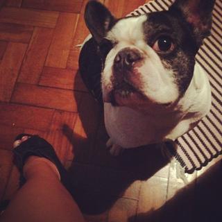 Renata Dávila feet photo thumbnail