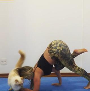 Renata Dávila feet photo thumbnail