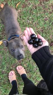 Renata Dávila feet photo thumbnail