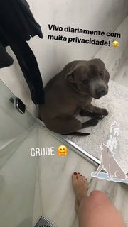 Renata Dávila feet photo thumbnail