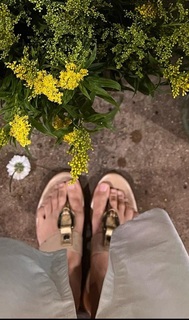 Renata Vasconcellos feet photo 3