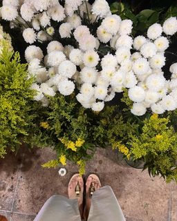 Renata Vasconcellos feet photo 2