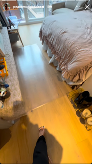 Renee Monaco feet photo 18