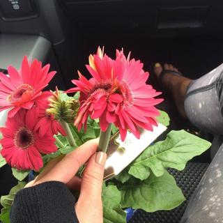 Renee Paquette feet photo thumbnail