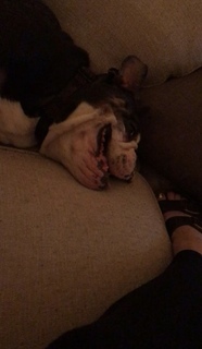 Renee Paquette feet photo thumbnail