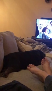 Renee Paquette feet photo thumbnail
