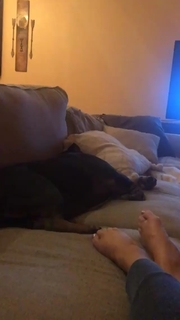 Renee Paquette feet photo thumbnail