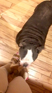 Renee Paquette feet photo thumbnail