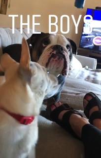 Renee Paquette feet photo thumbnail