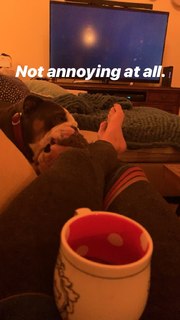 Renee Paquette feet photo thumbnail