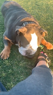Renee Paquette feet photo thumbnail