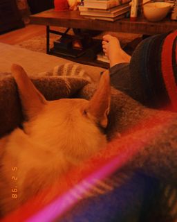 Renee Paquette feet photo thumbnail