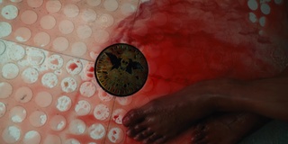 Renée Elise Goldsberry feet photo 8