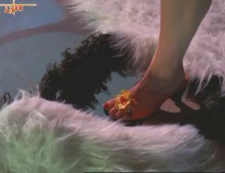 Renée O'Connor feet photo thumbnail