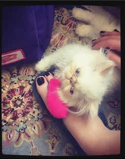 Reyhaneh Parsa feet photo thumbnail