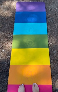 Reyhaneh Parsa feet photo thumbnail