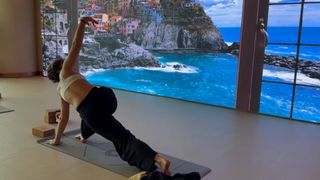 Reyhaneh Parsa feet photo thumbnail