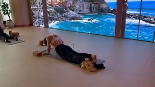 Reyhaneh Parsa feet photo thumbnail