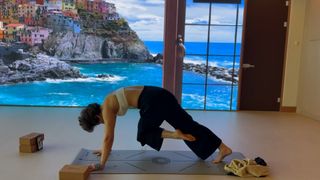 Reyhaneh Parsa feet photo thumbnail