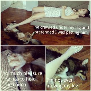 Rhian Ramos feet photo 16