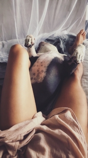 Rhona Mitra feet photo thumbnail