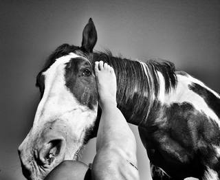 Rhona Mitra feet photo thumbnail