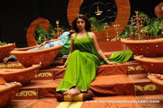 Richa Gangopadhyaya feet photo 17