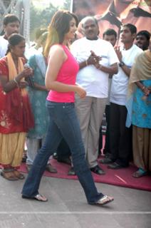 Richa Gangopadhyaya feet photo 5