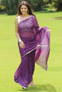 Richa Gangopadhyaya feet photo 20