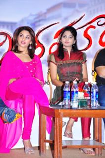 Richa Gangopadhyaya feet photo 5